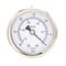 Pic Gauges 2 in Dial, 1/8 in NPT Male Center Back Location, Stainless Steel Case Material PRO-302D-208A-01 - alternate 1